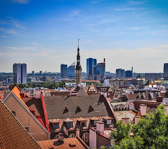 Sightseeing Tallinn