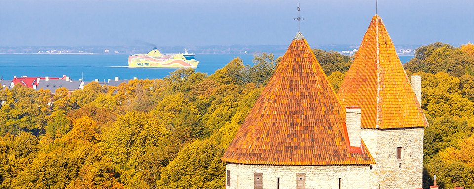 Vy över Tallinn med kryssningsfartyg i bakgrunden